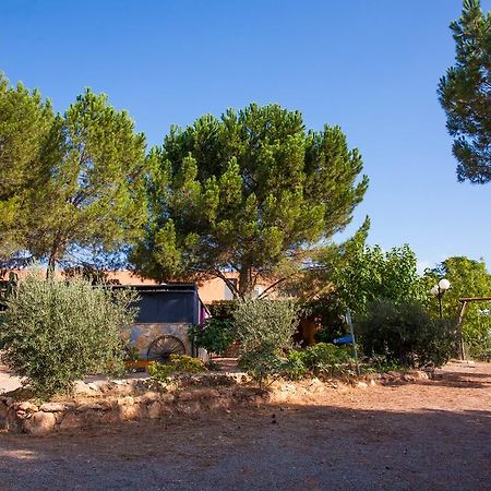 La Derrubia Konuk evi Villamalea Dış mekan fotoğraf